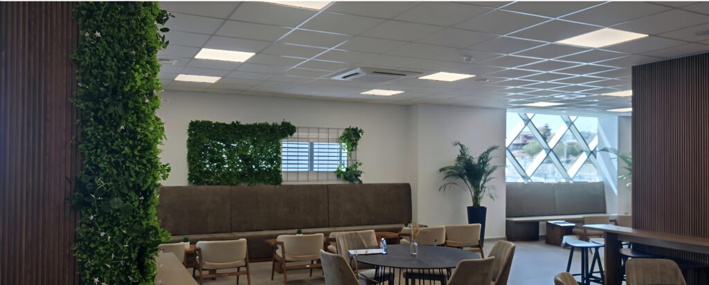 Finalized artificial vertical garden installation at Alpha Mega Stadium in Limassol, featuring lush greenery on columns, windows, and walls for a modern and vibrant stadium interior.