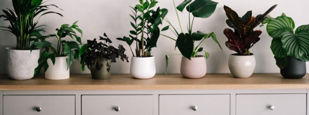 Three elegant artificial potted plants in green, white, and pink pots, placed on a wooden shelf with drawers, designed by Fairy Tale Green Walls in Limassol, Cyprus.